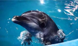 寿光蔬菜博览园直播卖票处怎么买门票 寿光蔬菜博览会门票