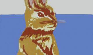 2023年属兔百年难遇