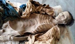 世上最危险兔子 世界上最诡异的兔子