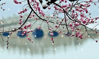 怎么把微信聊天背景图提出来 适合聊天背景的壁纸