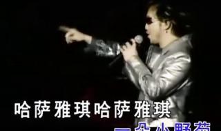 周传雄简历 周传雄2004演唱会