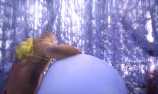 歌里面有不老的思念是什么歌 穿越时空的思念歌词