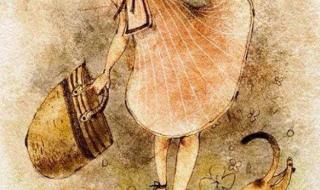 仙女的梦想 仙女的梦想