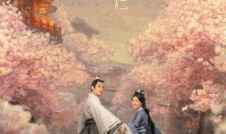 月升沧海超前点播