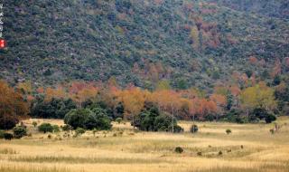 赤橙黄绿青蓝紫是指哪个国家 赤橙黄绿青蓝紫图片