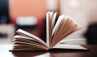 生男生女表按的是虚岁还是实岁 生男生女对照表