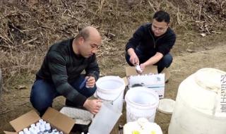 为什么说无人机打药厉害 打药无人机多少钱一台