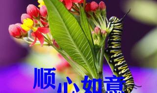 早上好图片最新大图