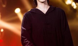 我是歌手第十一期 我是歌手第十一期