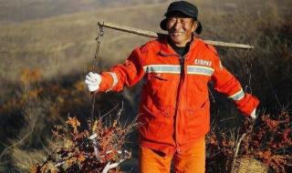 宇航人沙棘靠谱吗 三种人不能吃沙棘