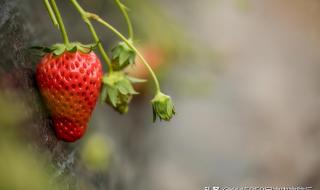 北京大兴在几环属于郊区吗 北京郊区好玩的地方