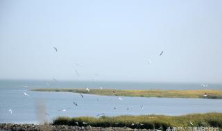 乌鲁木齐到博斯腾湖有多少公里 博斯腾湖位于哪个县