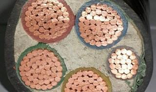 金龙羽电缆有限公司 金龙羽电缆有限公司