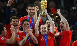 2010世界杯荷兰队战绩 巴西有没有踢假球,2010世界杯对阵荷兰队